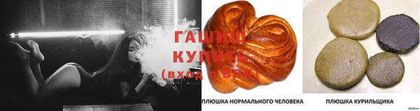 прущие крисы Аркадак